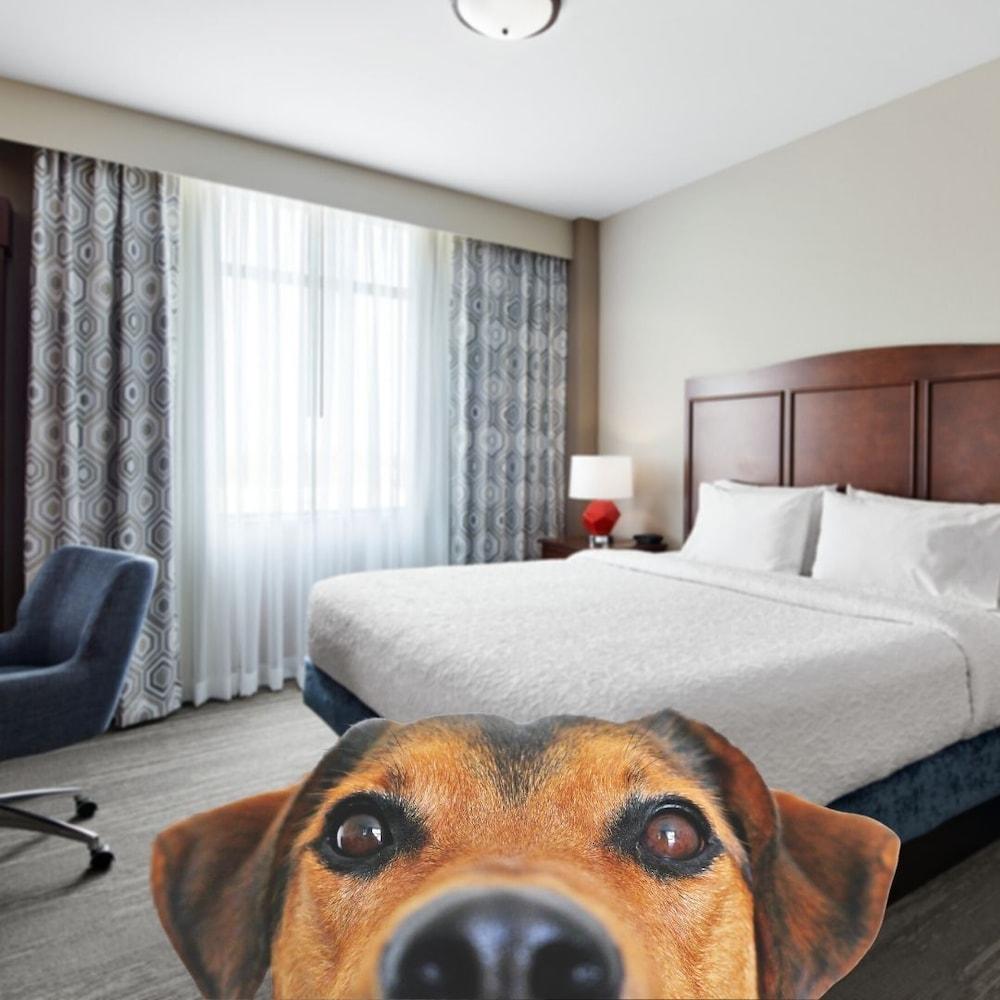 Hampton Inn & Suites Mt. Prospect Mount Prospect Buitenkant foto